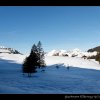20080120_344